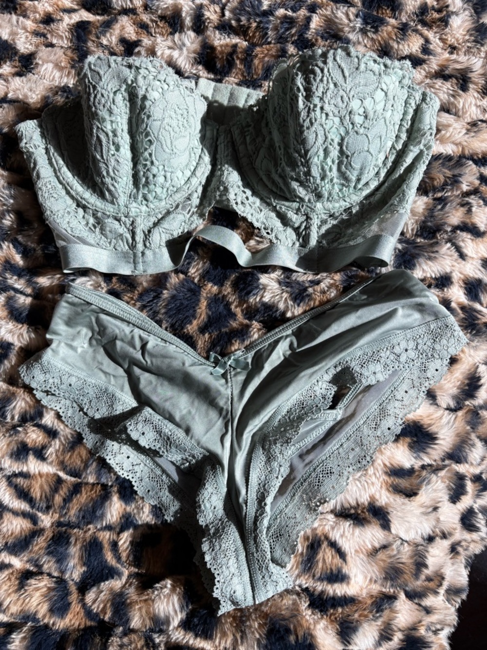 Victoria's Secret Lace Balconette Bra and Bikini Set in Sage - Picture 2 of 9